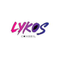 Lycos Conseil